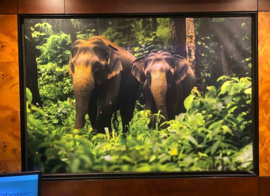 Best signage service in cochin, Kerala